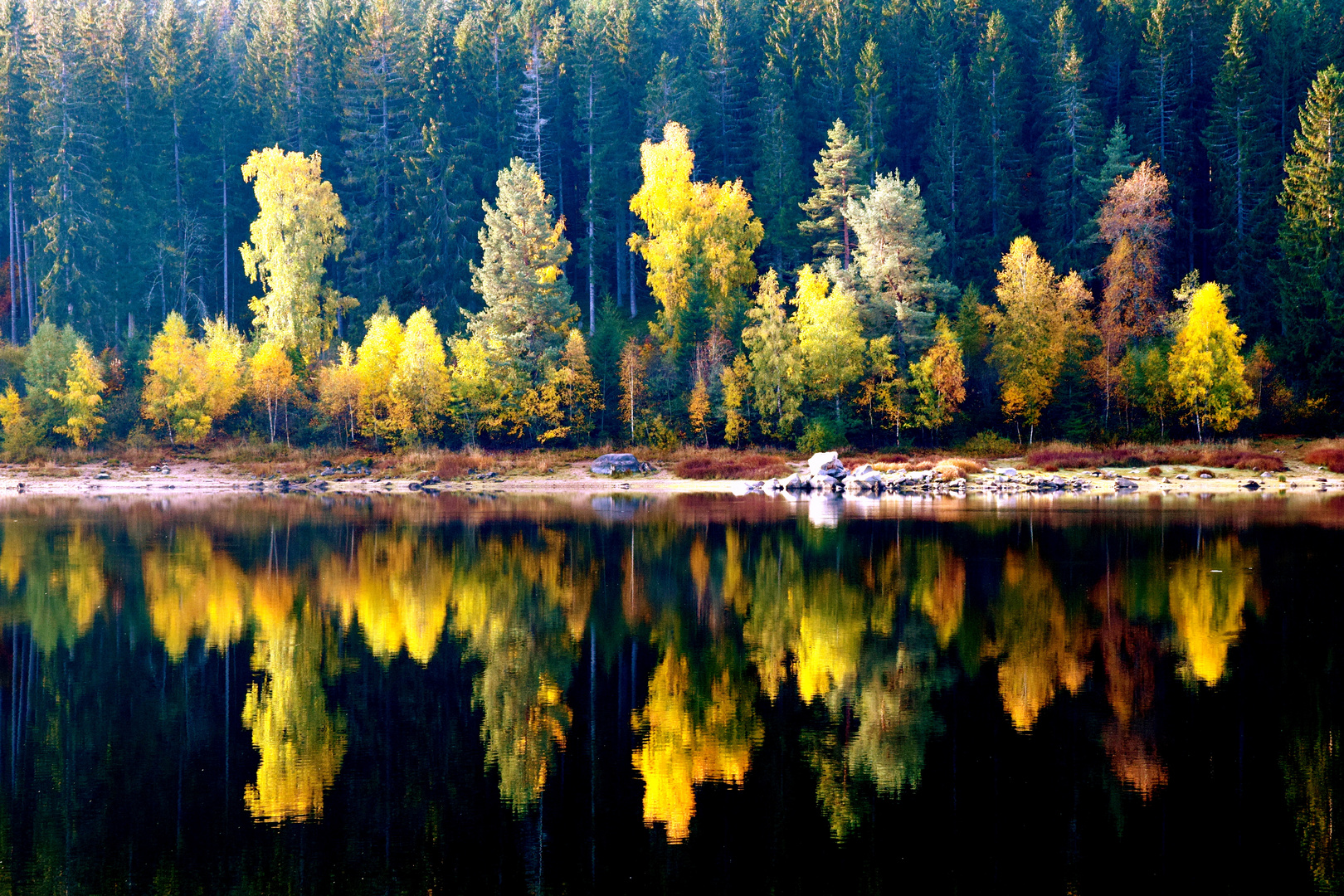 Schluchsee, Schwarzwald