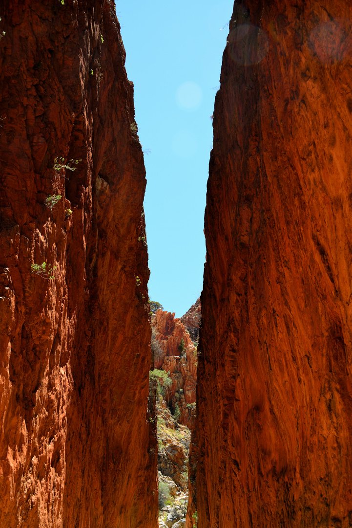 Schlucht