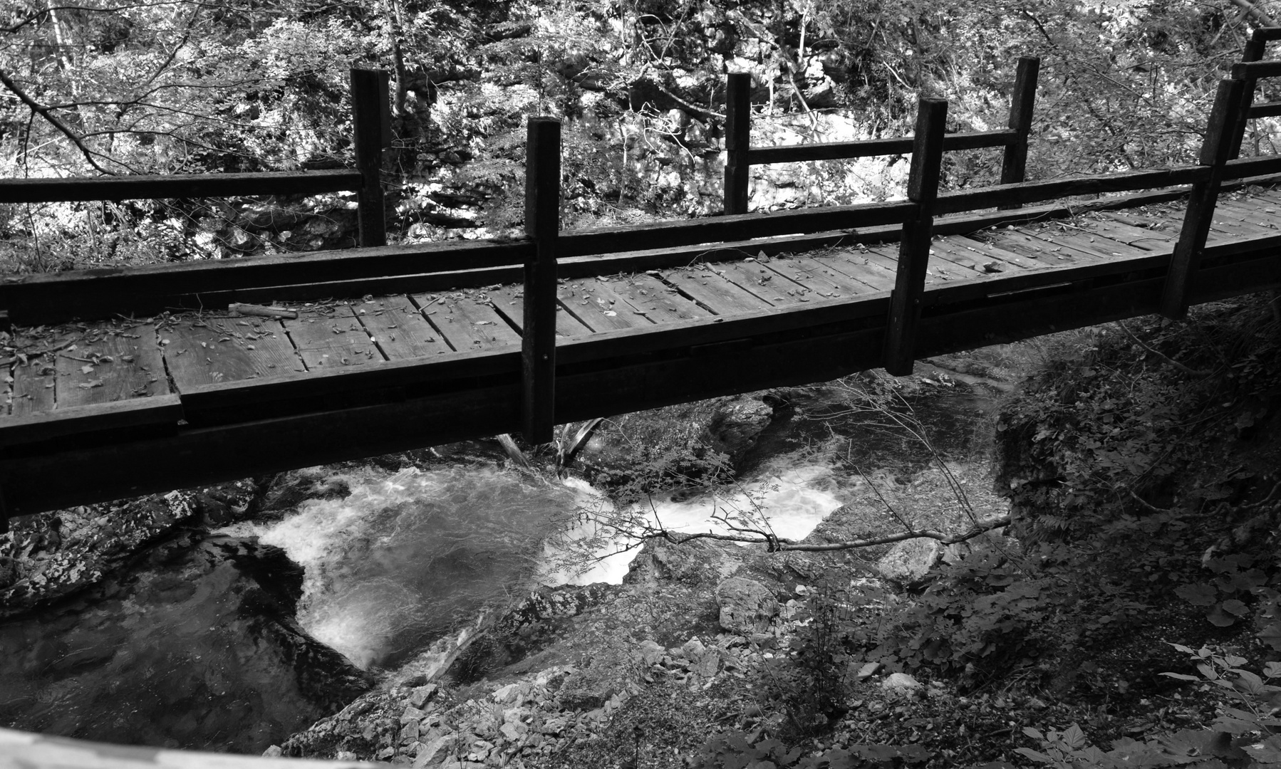 Schlucht bei Bled