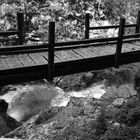 Schlucht bei Bled