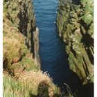 Schlucht bei Duncansby Haed 