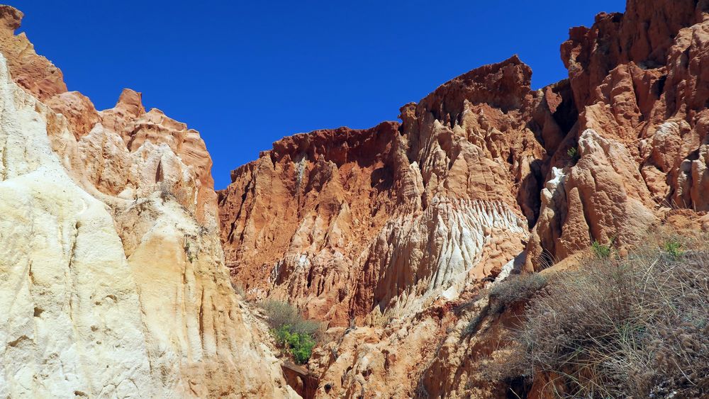 Schlucht bei Falesia Beach