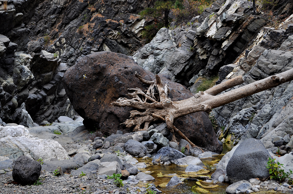 Schlucht der Todesängste II