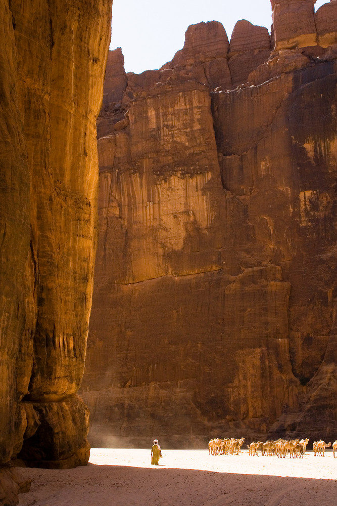 Schlucht des Guelta Archei