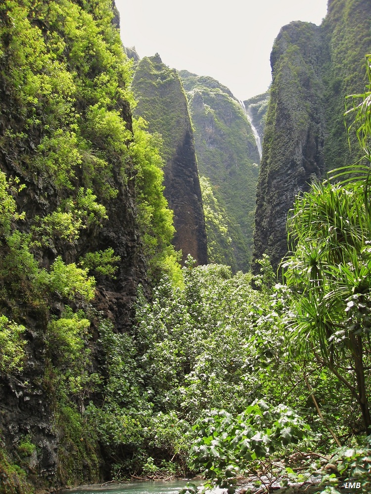 Schlucht des rauschenden Wassers / Gorge de l´eau bruissant