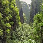 Schlucht des rauschenden Wassers / Gorge de l´eau bruissant