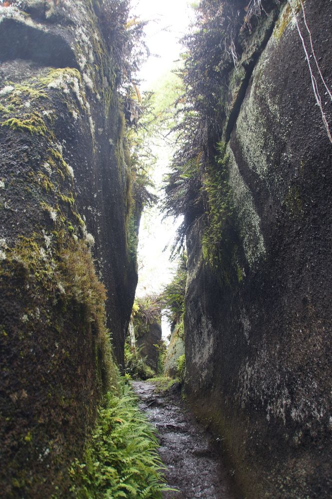 Schlucht im Nebelwald von hhoff 