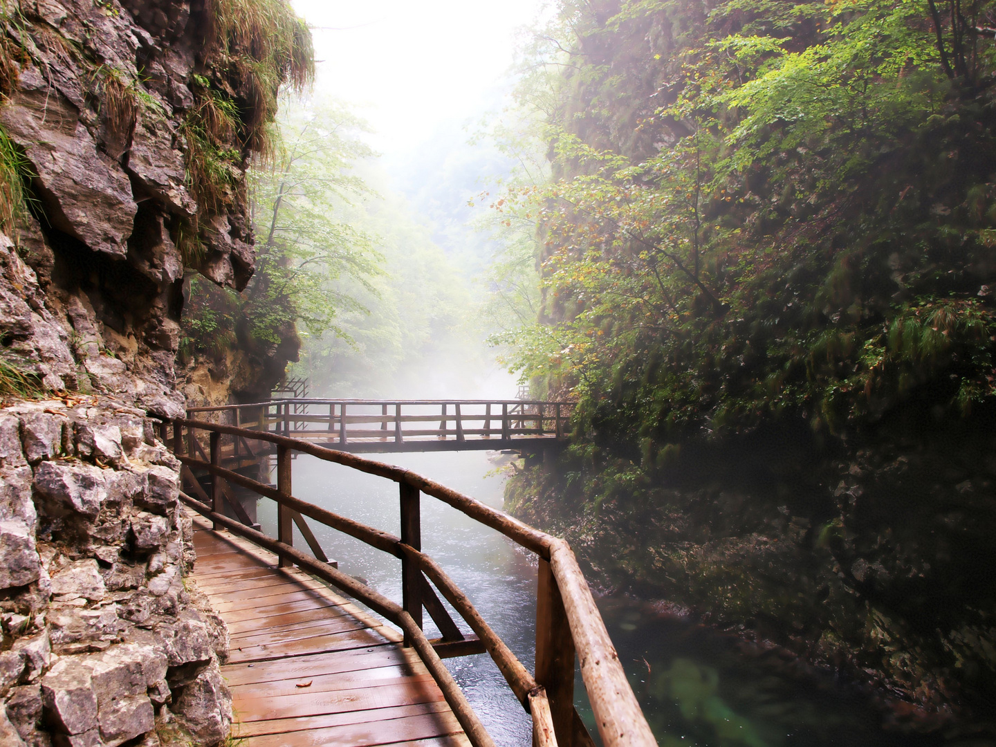 schlucht in bled_2