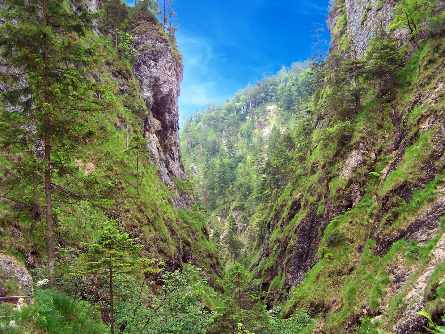 Schlucht in den Alpen