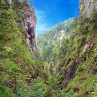 Schlucht in den Alpen