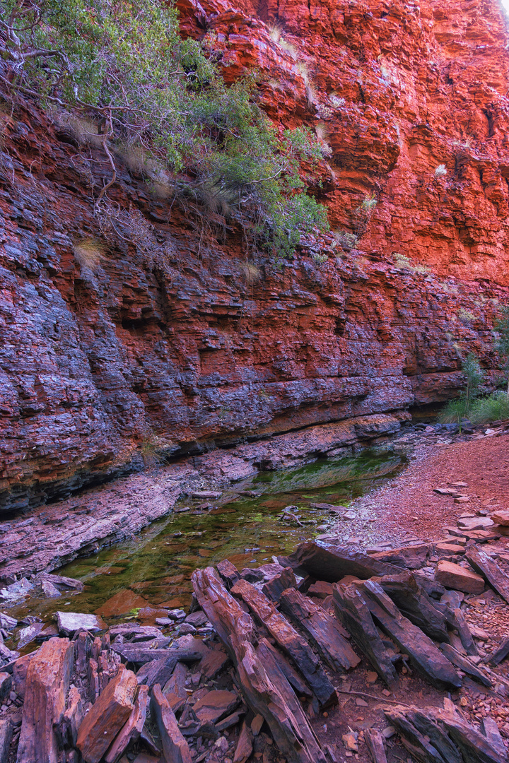 Schlucht in Karijini