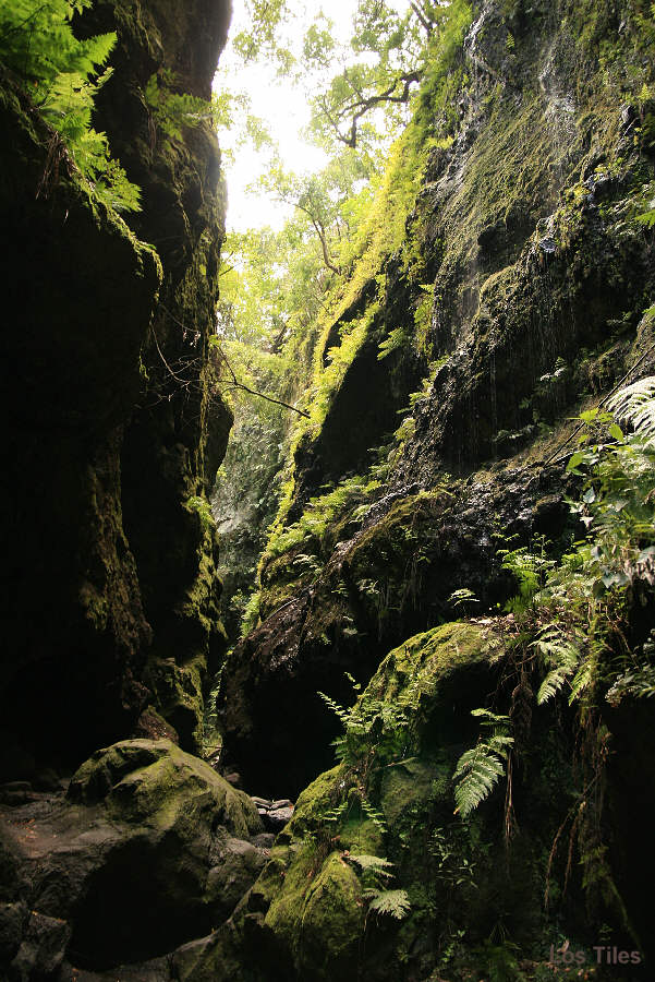 Schlucht in Los Tiles