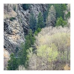 Schlucht mit Hängebrücke