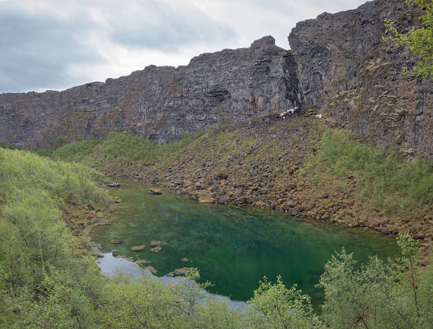 Schlucht Ásbyrgi 