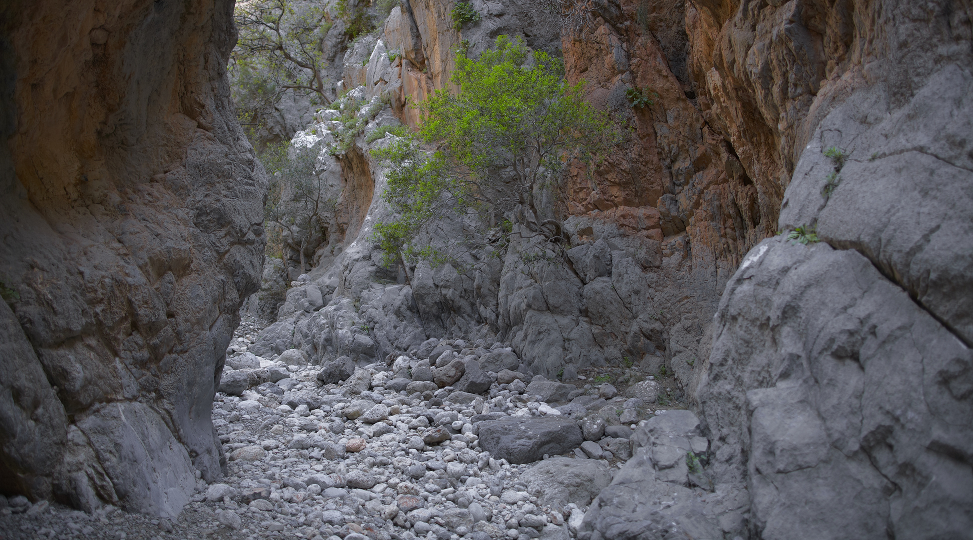 Schlucht von Kritsá, Kreta