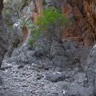 Schlucht von Kritsá, Kreta