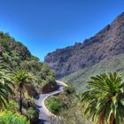 Schlucht von Masca - Teneriffa