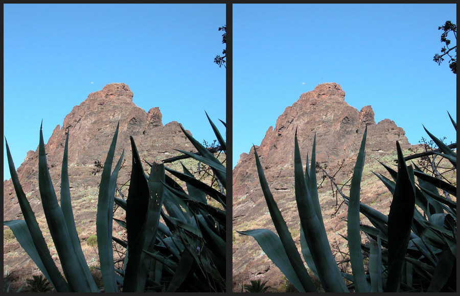 Schlucht von Masca/Teneriffa