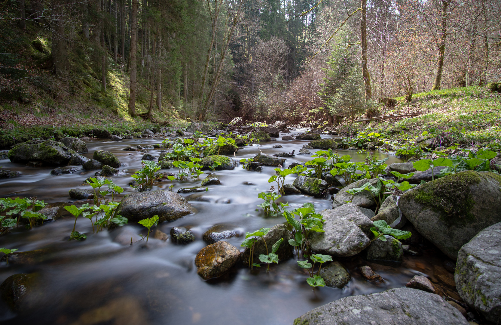 Schluchtensteig 3. Etappe