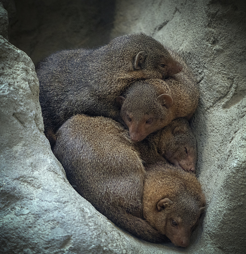 schluchtkuscheln