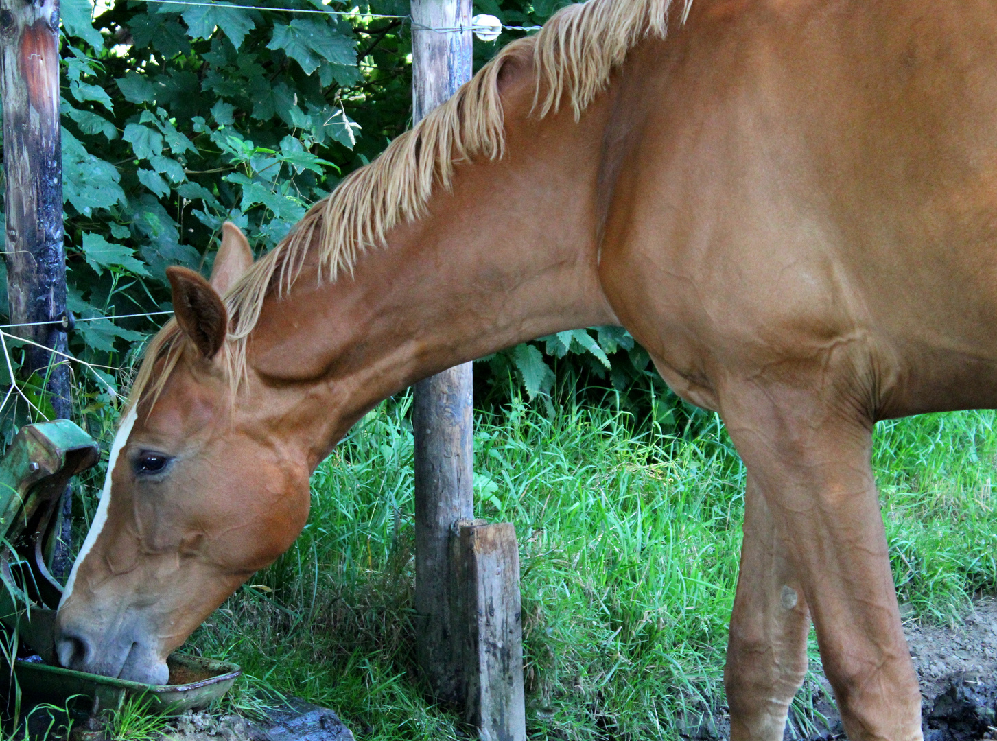 Schluck für Schluck ...