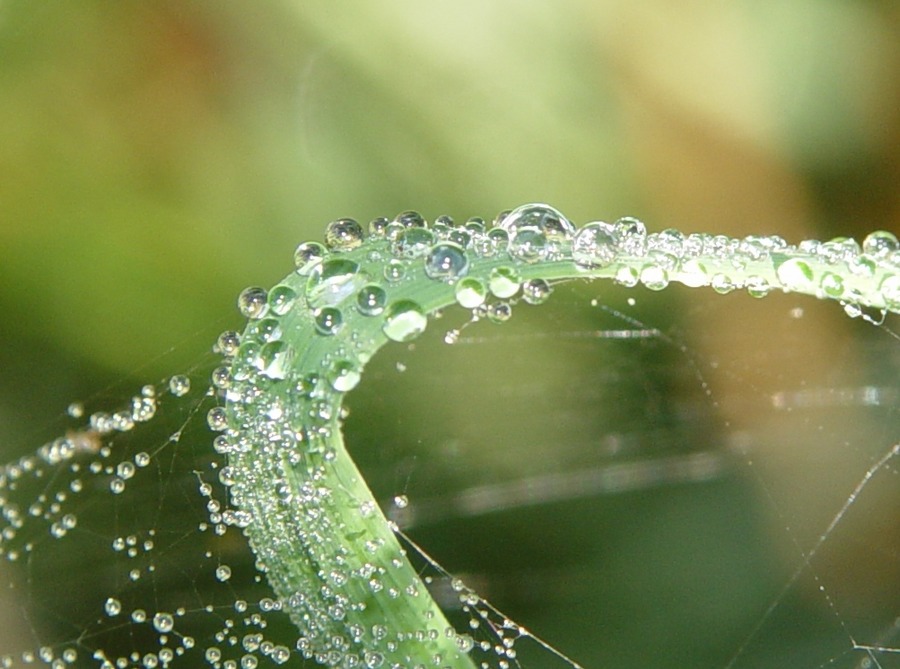 Schluck Wasser in der Kurve Foto & Bild naturmakros, naturkreativ, aufnahmetechniken Bilder Schluck Wasser in der Kurve Foto & Bild naturmakros, naturkreativ, aufnahmetechniken Bilder