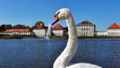 Schlückchen Wasser gefällig ?