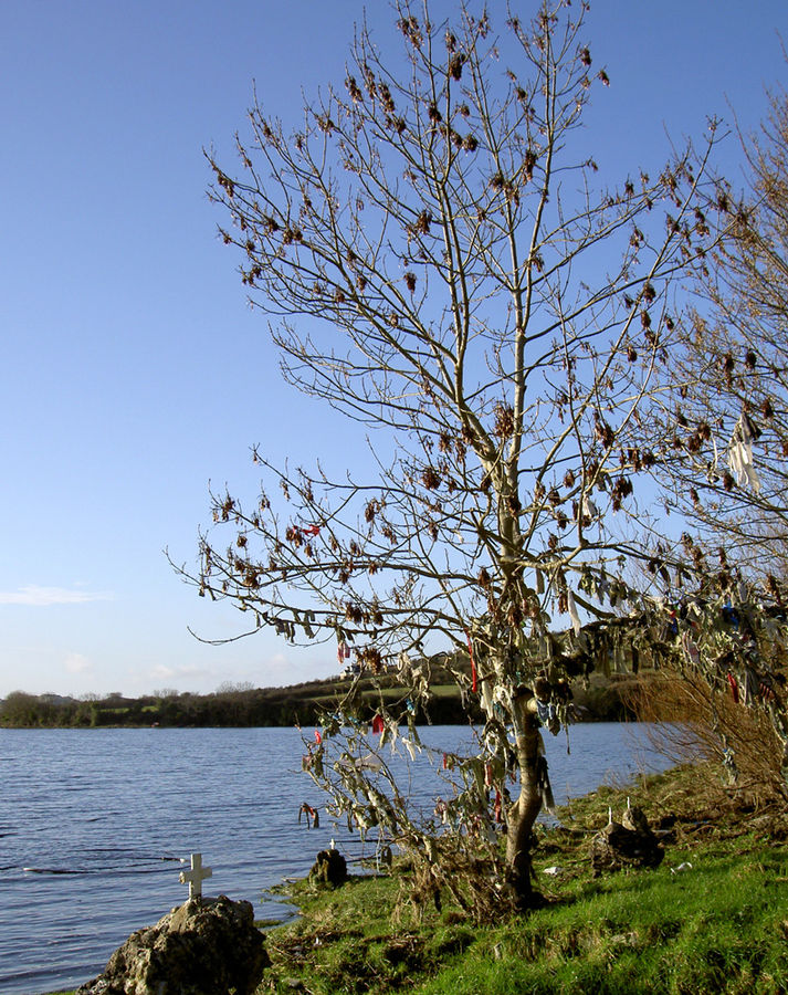 "Schlüpferbaum"