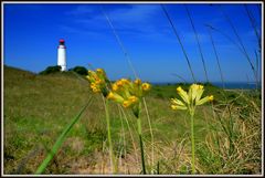 Schlüsselblumen am Leuchtturm