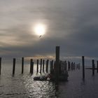 Schlüttsiel-Hafen, Gem. Ockholm/Nordsee...