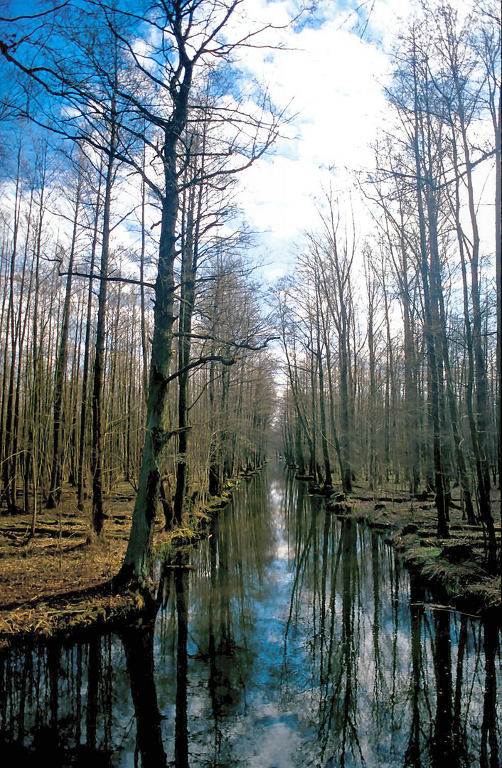 Schlummernde Spree