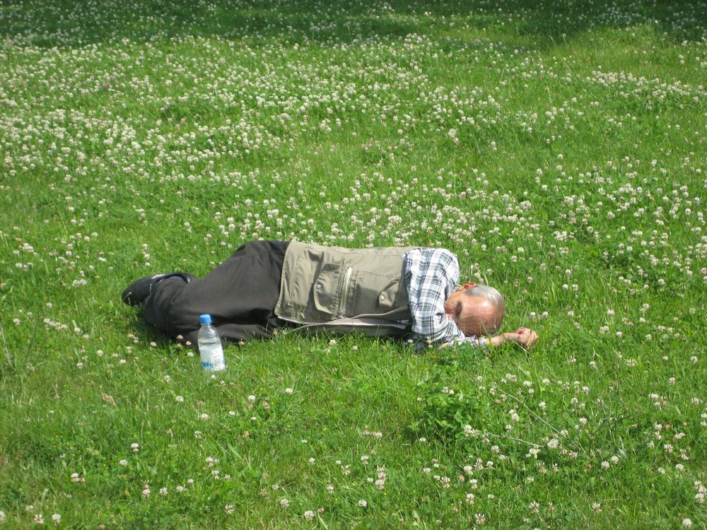 Schlummerstündchen im Blumenmeer von Garden 