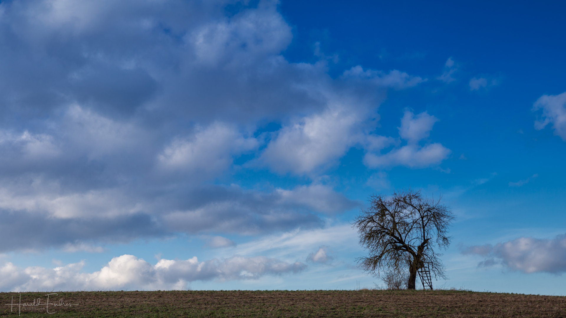 Schluss mit Winter