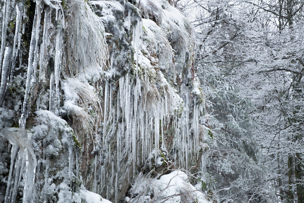 schlussendlich doch etwas Winter