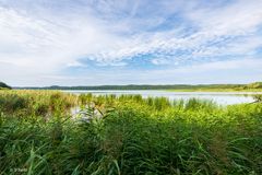 Schmachter See - Ostseebad Binz (02)  08/2023