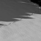 Schmale Spur im Schnee in Schwarzweiß