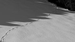 Schmale Spur im Schnee in Schwarzweiß