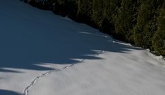 Schmale Spur im Schnee mit korrigiertem Weißabgleich