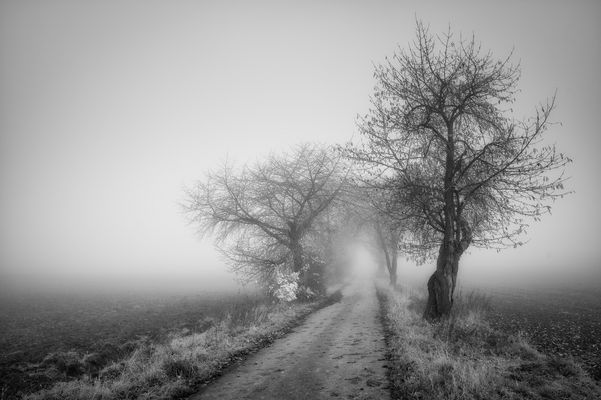 schmale Straße 7764