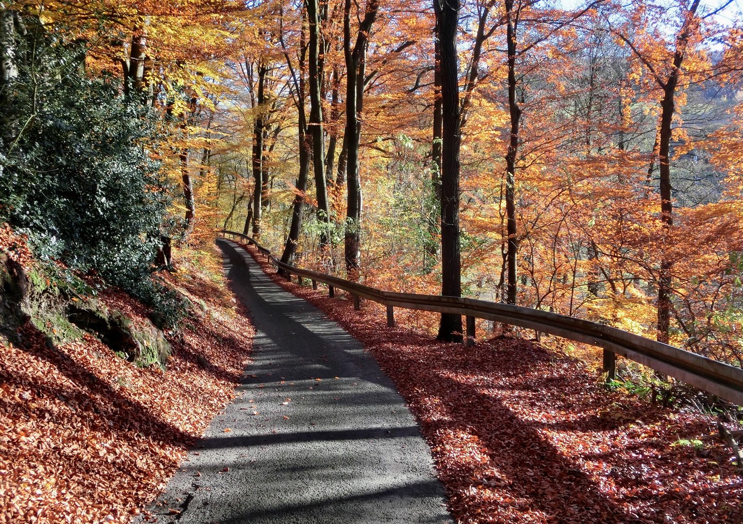 Schmale Straße durch einen weiten Herbst