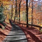 Schmale Straße durch einen weiten Herbst