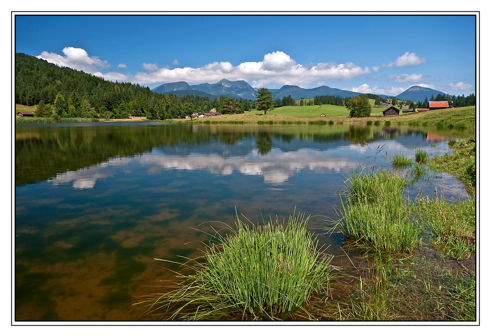 Schmalensee