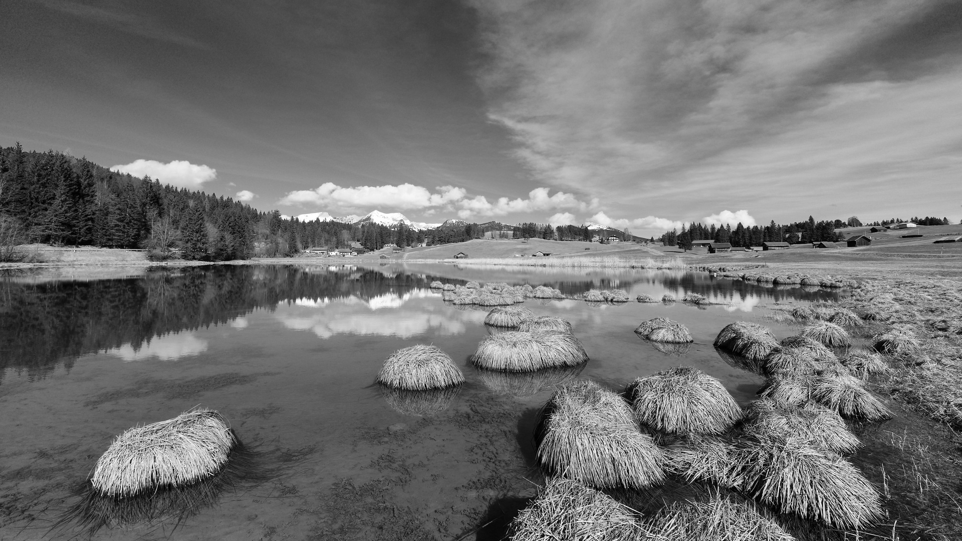 Schmalensee