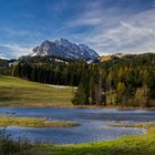 Schmalensee