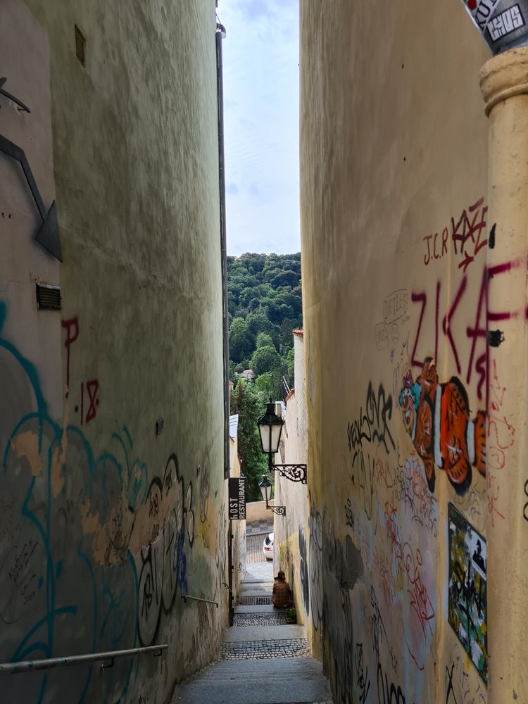 Schmaler Durchblick zum Wald