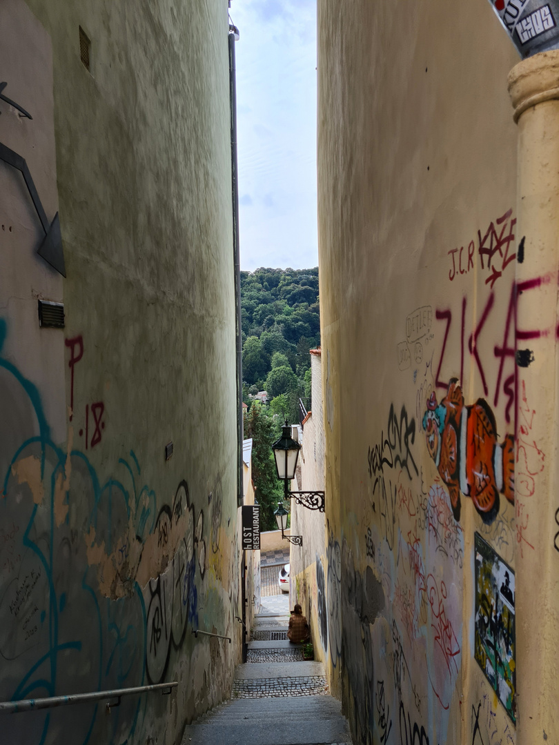 Schmaler Durchblick zum Wald