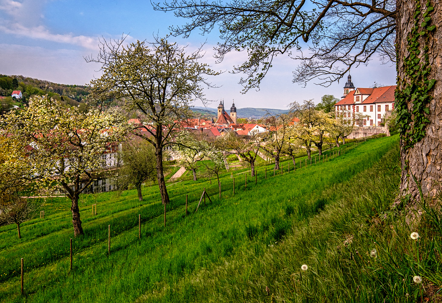 schmalkalder frühling ...