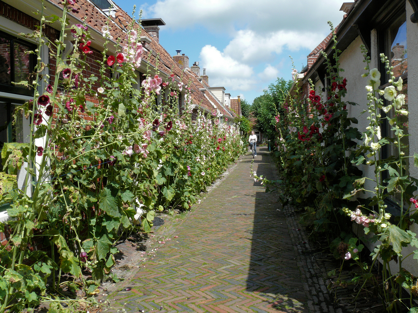 Schmalle strasse mit Blumen in Garnwerd