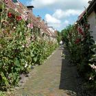 Schmalle strasse mit Blumen in Garnwerd