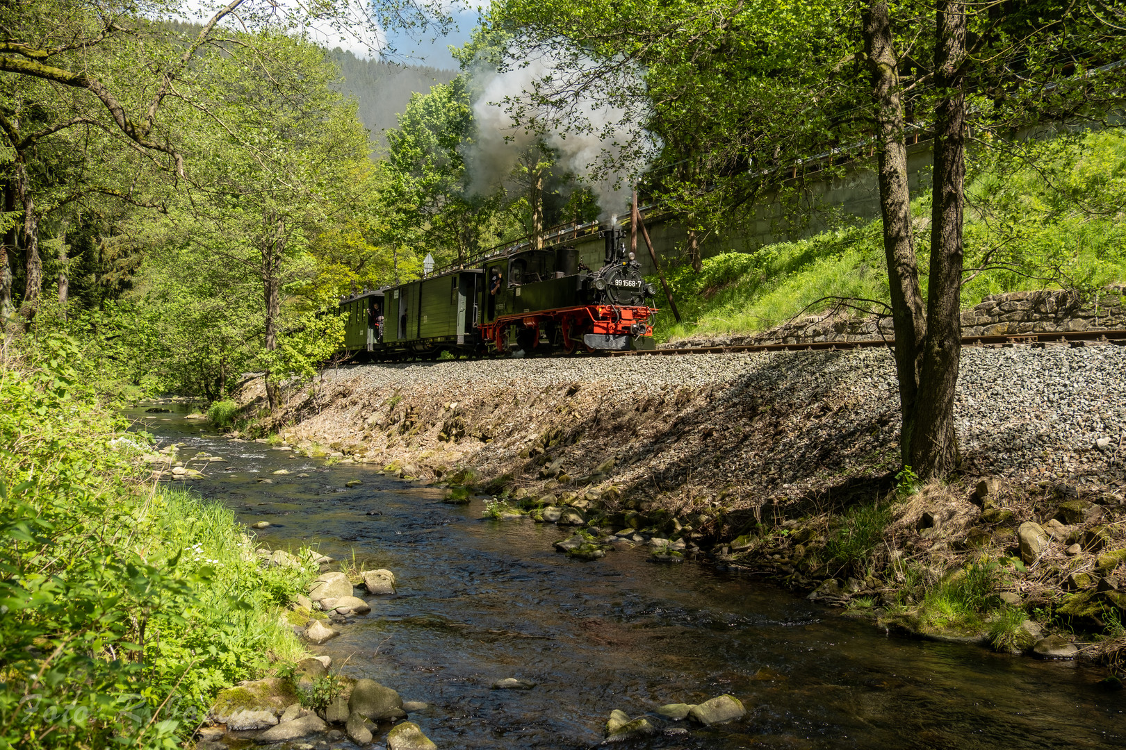 Schmalspur-Dampf-Romantik Preßnitztalbahn